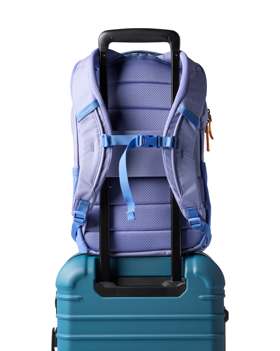Cotopaxi Allpa 18L Daypack - Aster