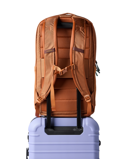 Cotopaxi Allpa 26L Daypack - Whiskey