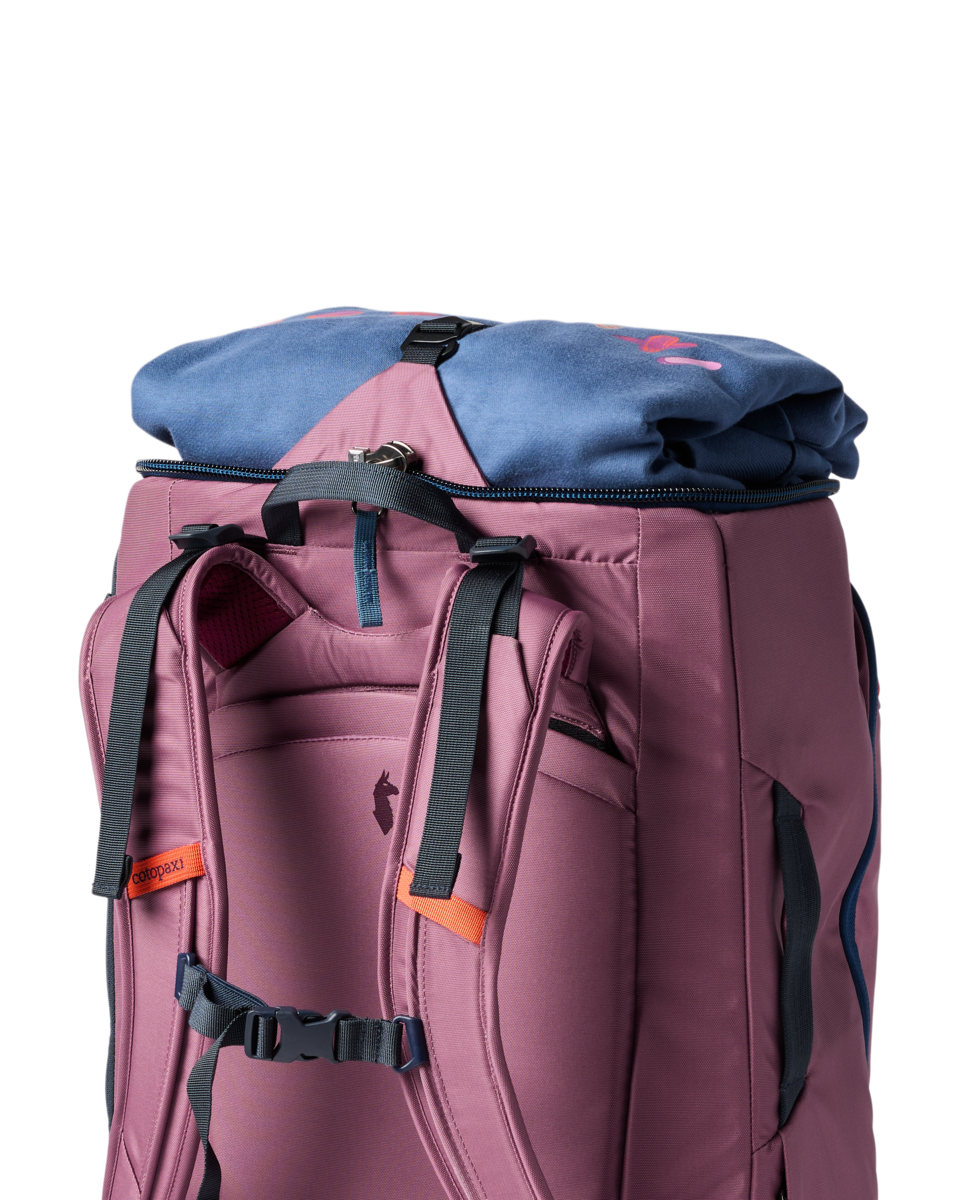 Cotopaxi Allpa 50L Adventure Travel Pack - Fig