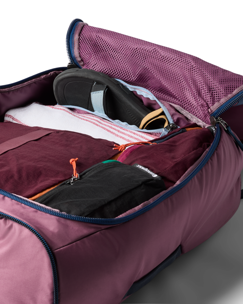 Cotopaxi Allpa 50L Adventure Travel Pack - Fig