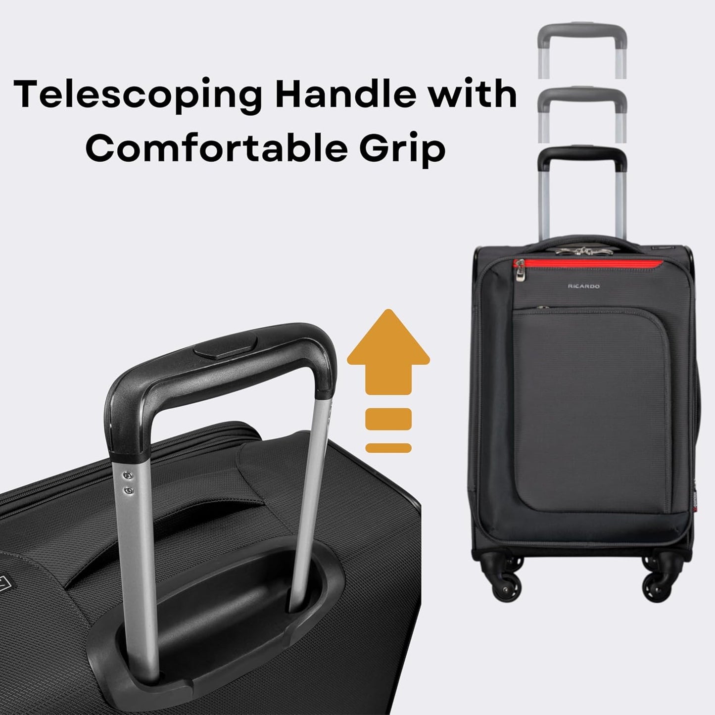 Ricardo Beverly Hills Aspen Springs Softside 2-Piece Set (20" Carry-On & 24" Medium Check-In) - Black