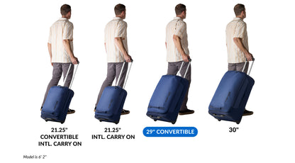 Eagle Creek Expanse 2-Wheel 29" Convertible Luggage - Gold