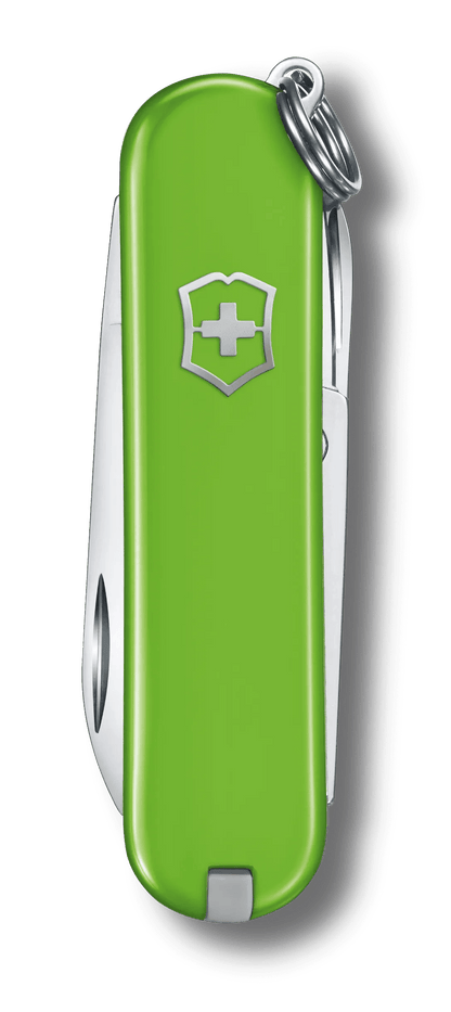 Victorinox Classic Pocket Knife - Smashed Avocado