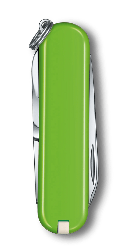 Victorinox Classic Pocket Knife - Smashed Avocado