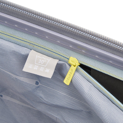 Delsey SHADOW 5.0 - L Trunk (74.5cm) - Platinum