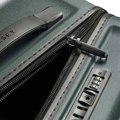 Delsey TURENNE 2.0 - Large Trunk Spinner - Green