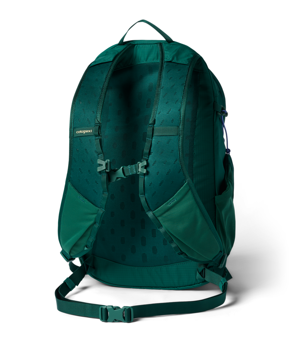 Cotopaxi Elqui 18L Daypack - Kale