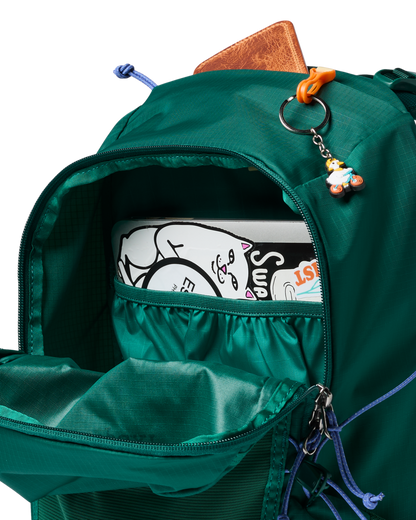 Cotopaxi Elqui 24L Daypack - Kale