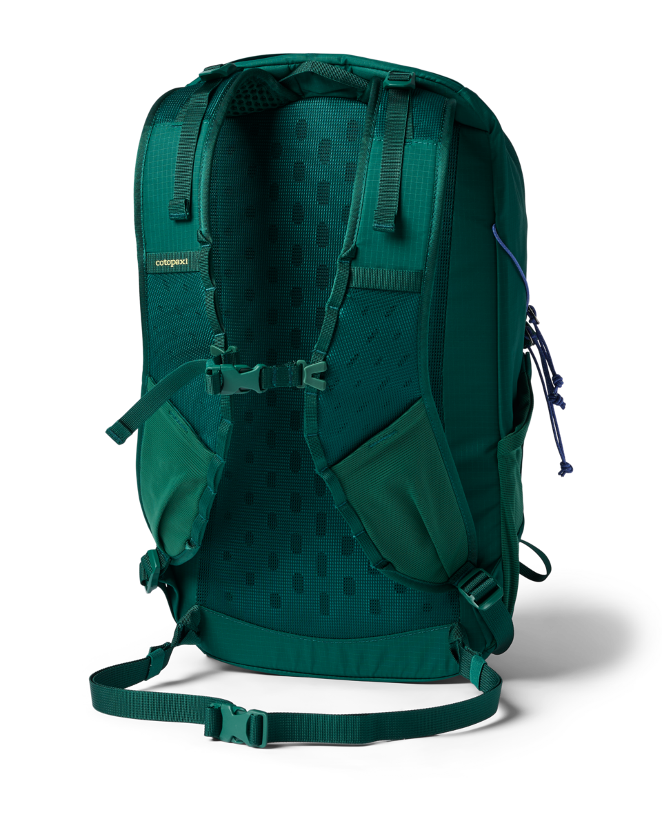 Cotopaxi Elqui 24L Daypack - Kale