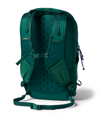 Cotopaxi Elqui 24L Daypack - Kale