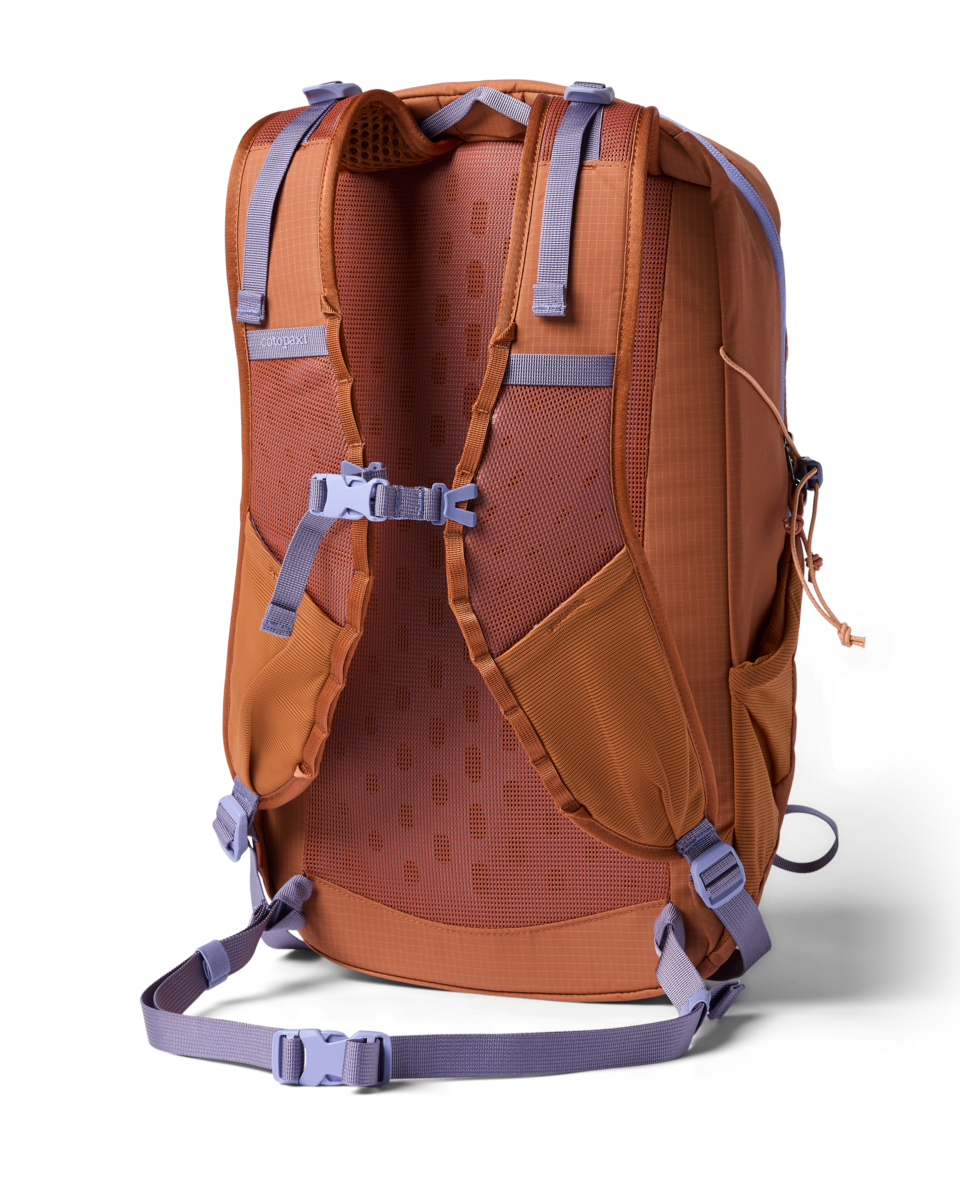 Cotopaxi Elqui 24L Daypack - Whiskey